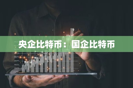 央企比特币：国企比特币