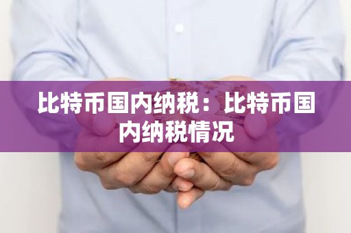 比特币国内纳税：比特币国内纳税情况