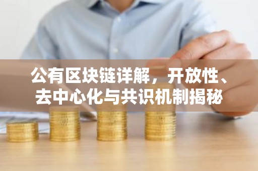 公有区块链详解，开放性、去中心化与共识机制揭秘