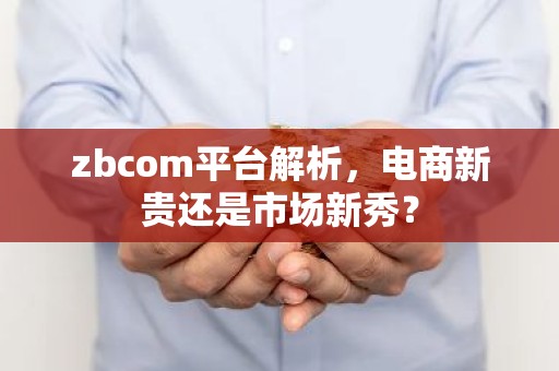 zbcom平台解析，电商新贵还是市场新秀？