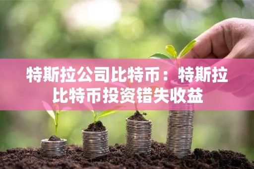 特斯拉公司比特币：特斯拉比特币投资错失收益
