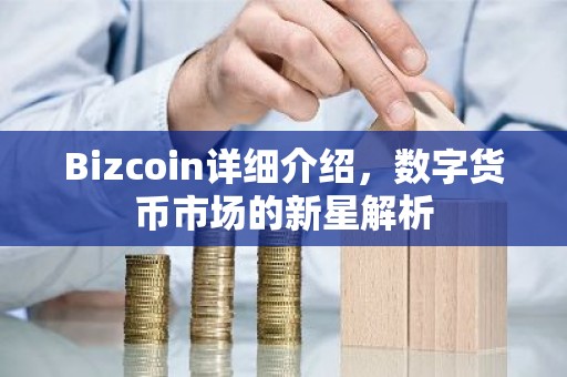 Bizcoin详细介绍，数字货币市场的新星解析