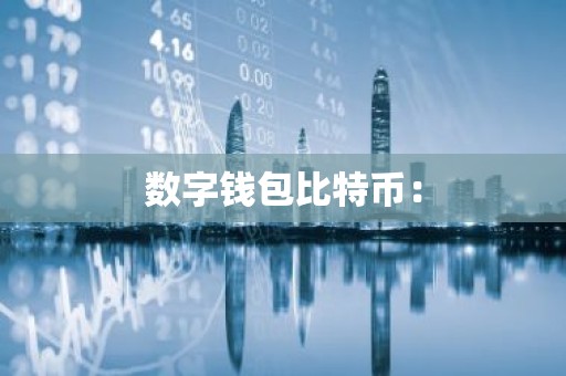 数字钱包比特币：