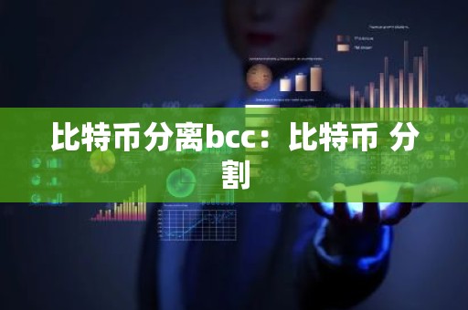 比特币分离bcc：比特币 分割