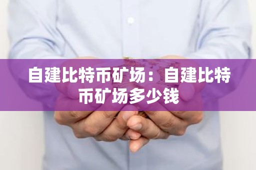 自建比特币矿场：自建比特币矿场多少钱