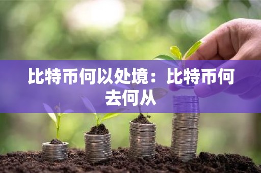 比特币何以处境：比特币何去何从