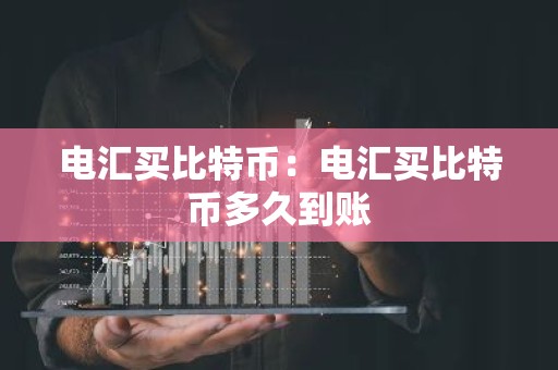 电汇买比特币：电汇买比特币多久到账