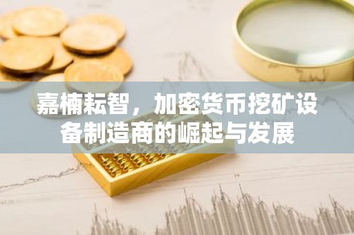 嘉楠耘智，加密货币挖矿设备制造商的崛起与发展