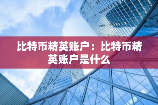 比特币精英账户：比特币精英账户是什么