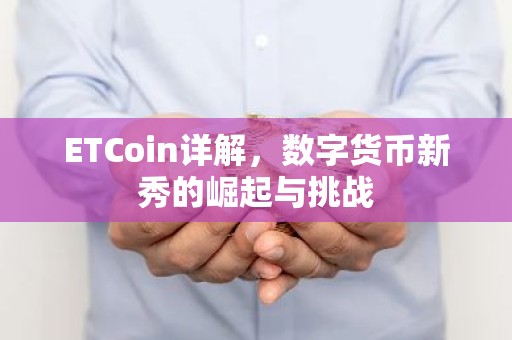 ETCoin详解，数字货币新秀的崛起与挑战