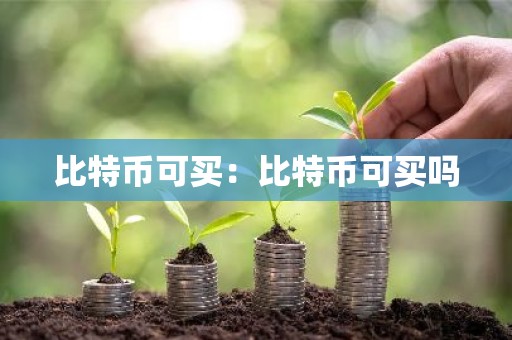 比特币可买：比特币可买吗