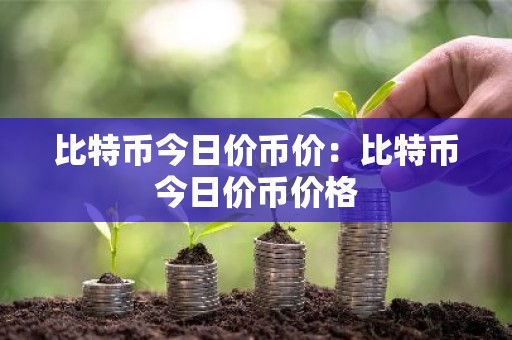 比特币今日价币价：比特币今日价币价格