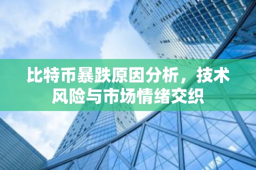 比特币暴跌原因分析，技术风险与市场情绪交织