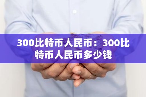 300比特币人民币：300比特币人民币多少钱