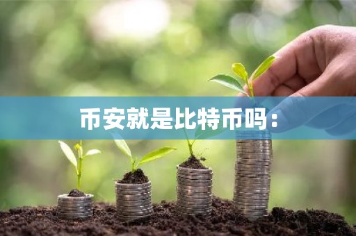 币安就是比特币吗：