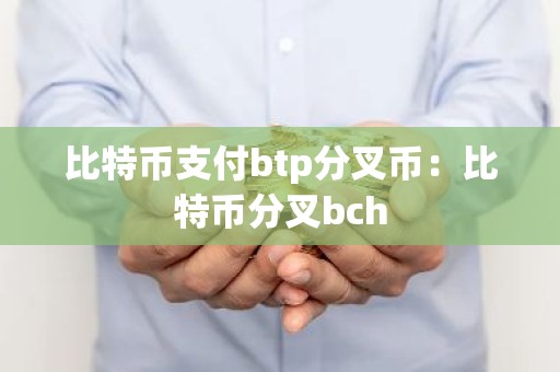 比特币支付btp分叉币：比特币分叉bch