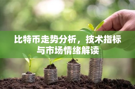 比特币走势分析，技术指标与市场情绪解读