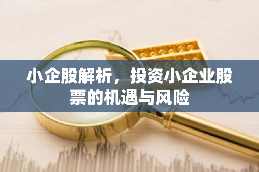 小企股解析，投资小企业股票的机遇与风险