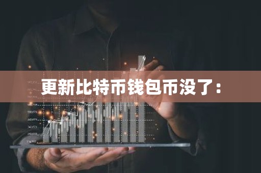 更新比特币钱包币没了：