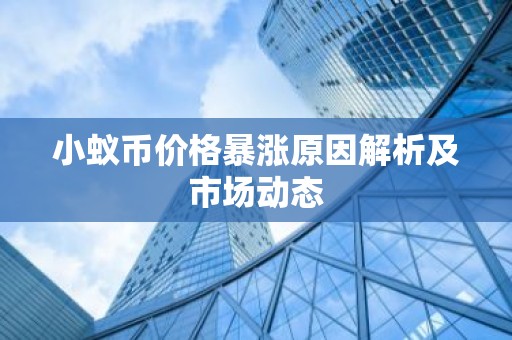 小蚁币价格暴涨原因解析及市场动态