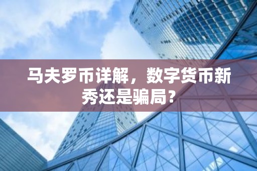 马夫罗币详解，数字货币新秀还是骗局？