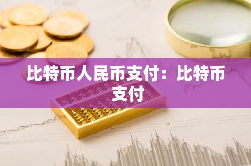 比特币人民币支付：比特币 支付