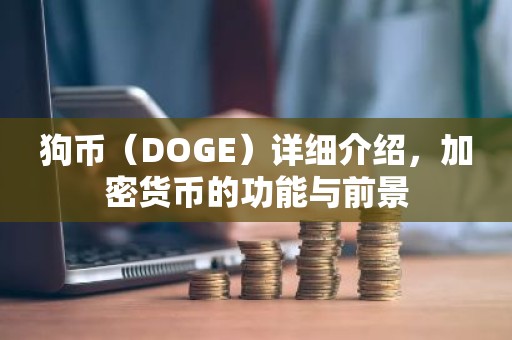 狗币（DOGE）详细介绍，加密货币的功能与前景