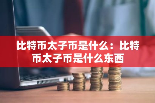 比特币太子币是什么：比特币太子币是什么东西