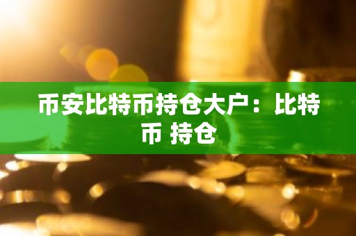 币安比特币持仓大户：比特币 持仓