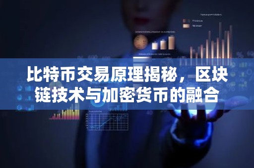 比特币交易原理揭秘，区块链技术与加密货币的融合