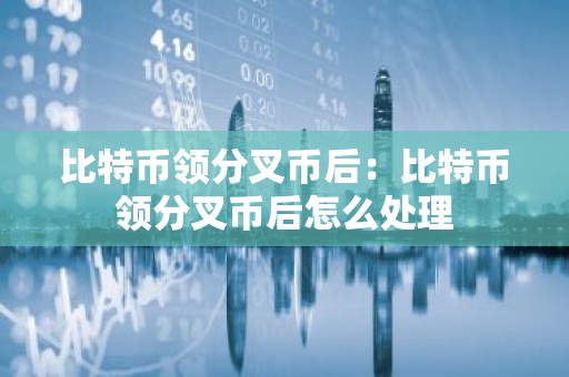 比特币领分叉币后：比特币领分叉币后怎么处理