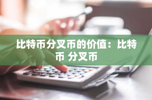 比特币分叉币的价值：比特币 分叉币