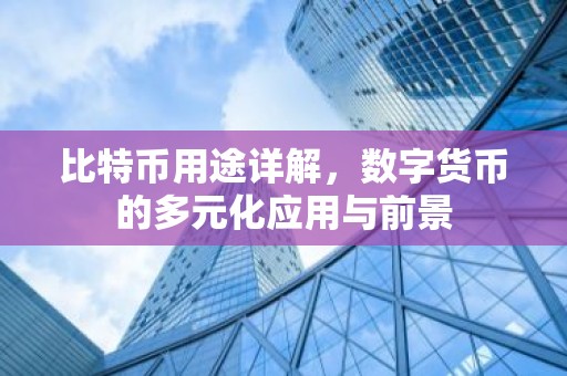 比特币用途详解，数字货币的多元化应用与前景