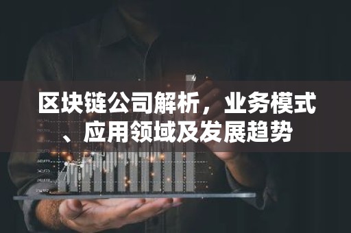 区块链公司解析，业务模式、应用领域及发展趋势