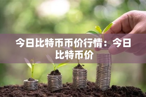 今日比特币币价行情：今日 比特币价