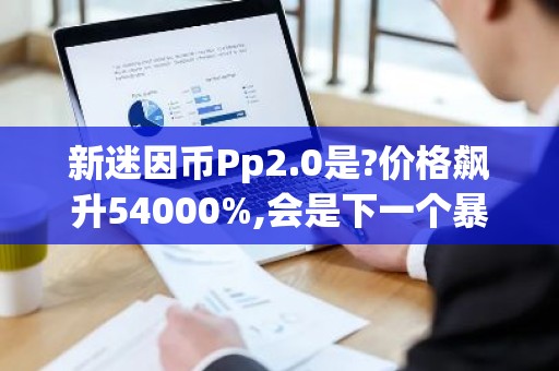 新迷因币Pp2.0是?价格飙升54000%,会是下一个暴富机会吗?