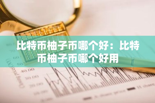 比特币柚子币哪个好：比特币柚子币哪个好用