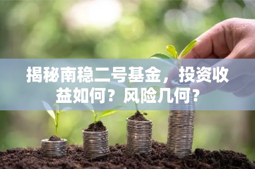 揭秘南稳二号基金，投资收益如何？风险几何？