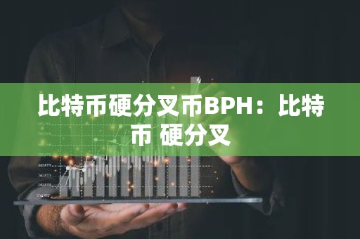 比特币硬分叉币BPH：比特币 硬分叉