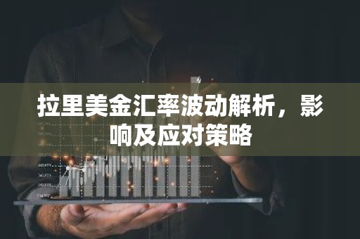 拉里美金汇率波动解析，影响及应对策略
