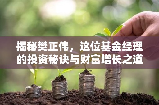 揭秘樊正伟，这位基金经理的投资秘诀与财富增长之道