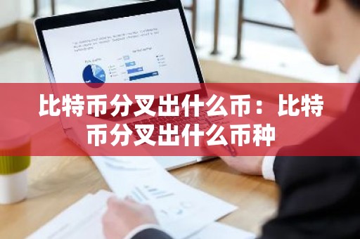 比特币分叉出什么币：比特币分叉出什么币种