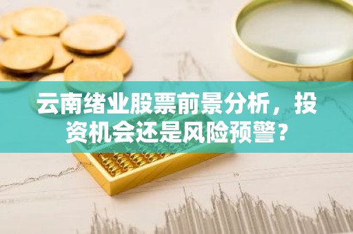 云南绪业股票前景分析，投资机会还是风险预警？