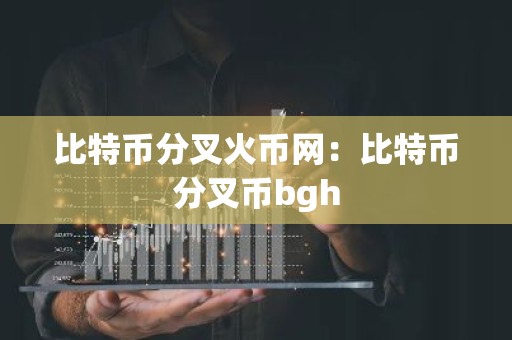 比特币分叉火币网：比特币分叉币bgh