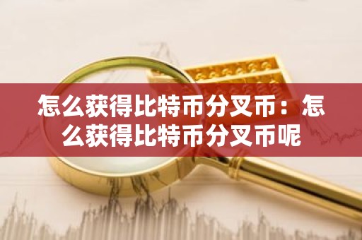 怎么获得比特币分叉币：怎么获得比特币分叉币呢