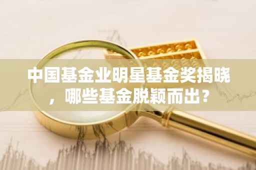 中国基金业明星基金奖揭晓，哪些基金脱颖而出？