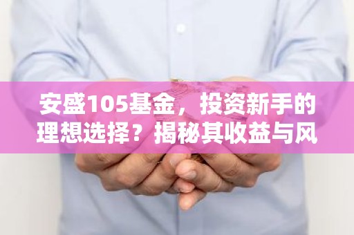 安盛105基金，投资新手的理想选择？揭秘其收益与风险