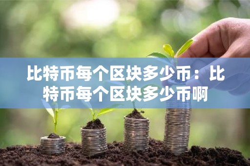 比特币每个区块多少币：比特币每个区块多少币啊