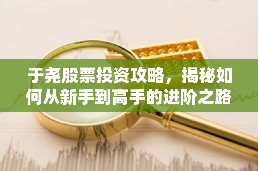 于尧股票投资攻略，揭秘如何从新手到高手的进阶之路