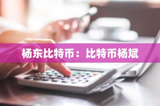 杨东比特币：比特币杨斌